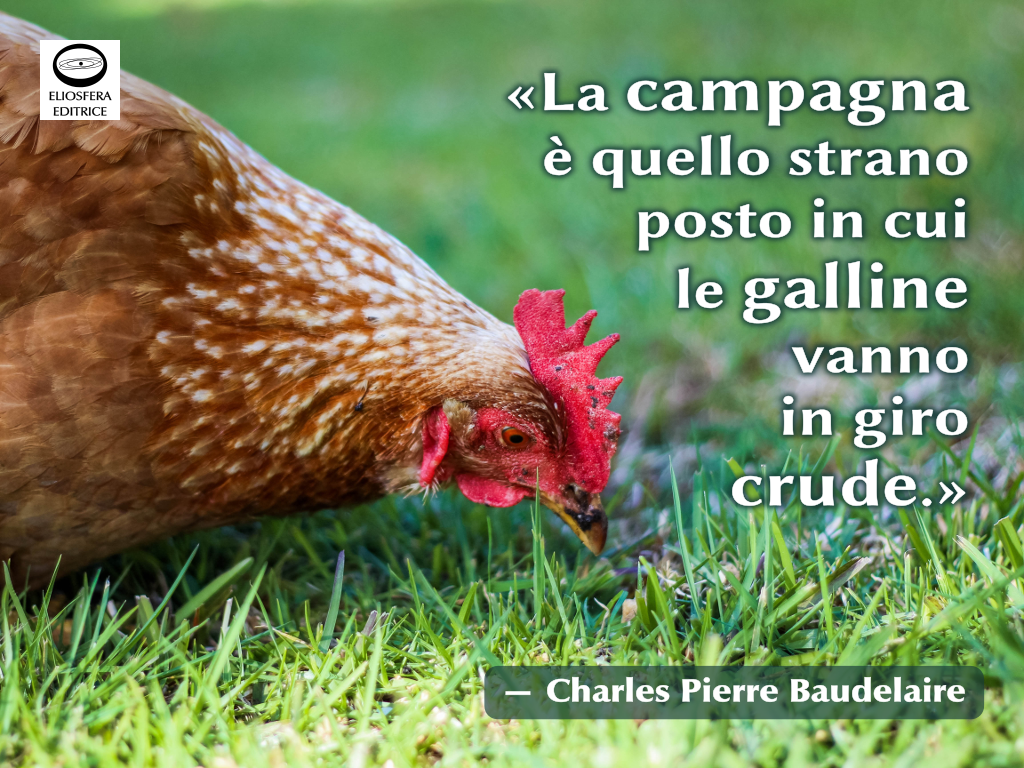 Galline crude - Baudelaire